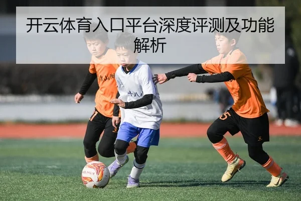 开云体育入口平台深度评测及功能解析