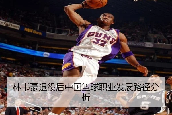林书豪退役后中国篮球职业发展路径分析